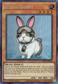Rescue Rabbit (CR) KICO-EN034