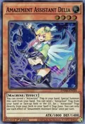 Amazement Assistant Delia DAMA-EN020