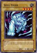 Soul Tiger DR2-EN003