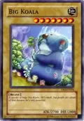 Big Koala DR2-EN004