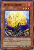Burning Algae DR2-EN063