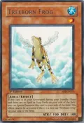 Treeborn Frog SOI-EN025