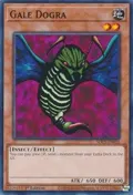 Gale Dogra SDCS-EN021