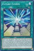 Future Fusion SDCS-EN029