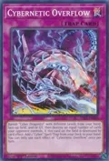 Cybernetic Overflow SDCS-EN040