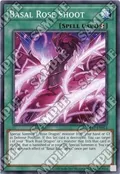 Basal Rose Shoot OP17-EN012