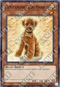 Outstanding Dog Marron OP17-EN014