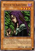 Witch of the Black Forest SKE-020