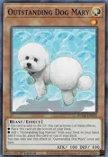 Outstanding Dog Mary BODE-EN035