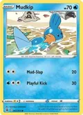 Mudkip #062/264