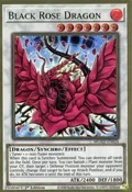 Black Rose Dragon MGED-EN026