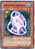 Chrysalis Dolphin DP03-EN008
