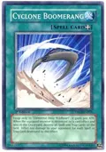 Cyclone Boomerang DP03-EN015