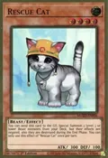 Rescue Cat MGED-EN006
