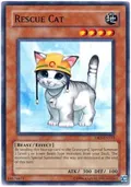 Rescue Cat DR3-EN153
