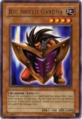Big Shield Gardna CP01-EN006