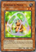 Chrysalis Mole TAEV-EN011