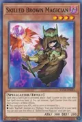 Skilled Brown Magician BACH-EN024