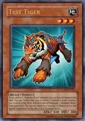Test Tiger GLAS-EN082