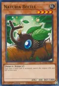 Naturia Beetle HAC1-EN093