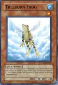 Treeborn Frog CP04-EN020