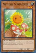 Naturia Sunflower HAC1-EN102