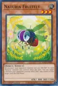 Naturia Fruitfly HAC1-EN106