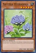Naturia Hydrangea HAC1-EN107