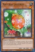 Naturia Ladybug HAC1-EN109