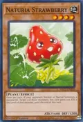 Naturia Strawberry HAC1-EN110