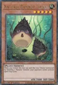 Naturia Bamboo Shoot (Duel Terminal) HAC1-EN111
