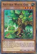 Naturia White Oak (Duel Terminal) HAC1-EN115