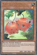 Naturia Cherries (Duel Terminal) HAC1-EN116