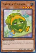 Naturia Pumpkin HAC1-EN117
