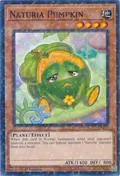 Naturia Pumpkin (Duel Terminal) HAC1-EN117