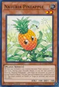 Naturia Pineapple HAC1-EN118