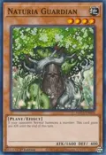 Naturia Guardian HAC1-EN095