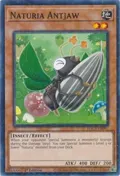 Naturia Antjaw (Duel Terminal) HAC1-EN097
