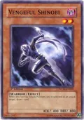 Vengeful Shinobi PTDN-EN028