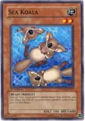 Sea Koala PTDN-EN037