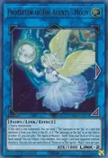 Protector of The Agents - Moon GFP2-EN011