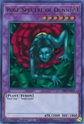 Rose Spectre of Dunn GFP2-EN121