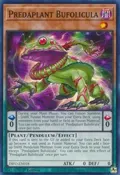 Predaplant Bufolicula DIFO-EN018