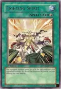 Fighting Spirit TDGS-EN045