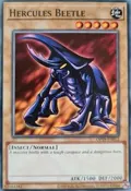 Hercules Beetle OP19-EN012