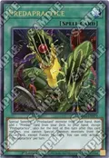Predapractice LDS3-EN079