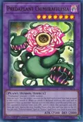 Predaplant Chimerafflesia LDS3-EN074