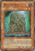 Wall of Ivy CSOC-EN004