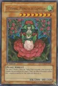 Tytannial, Princess of Camellias CSOC-EN029