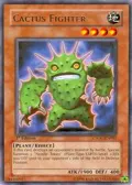 Cactus Fighter CSOC-EN082